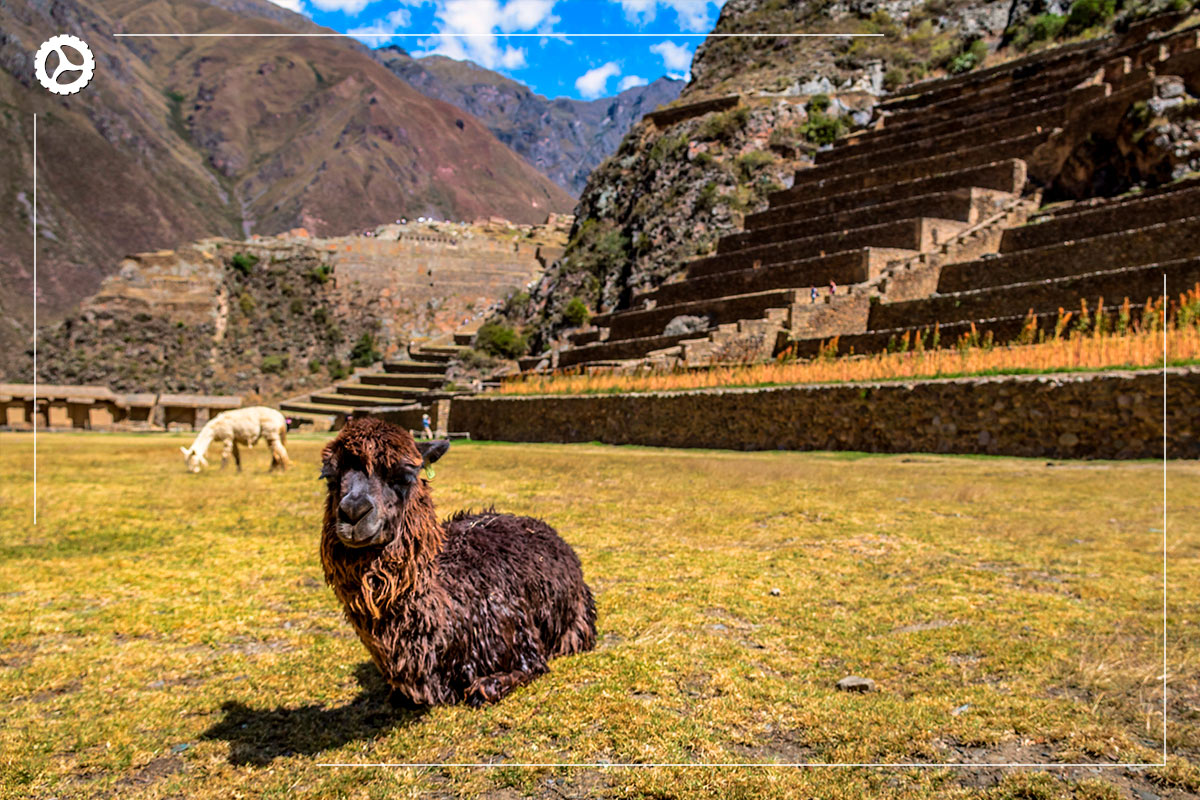 Cusco y pernocte en Machu Picchu 5D/4N - Foto 6
